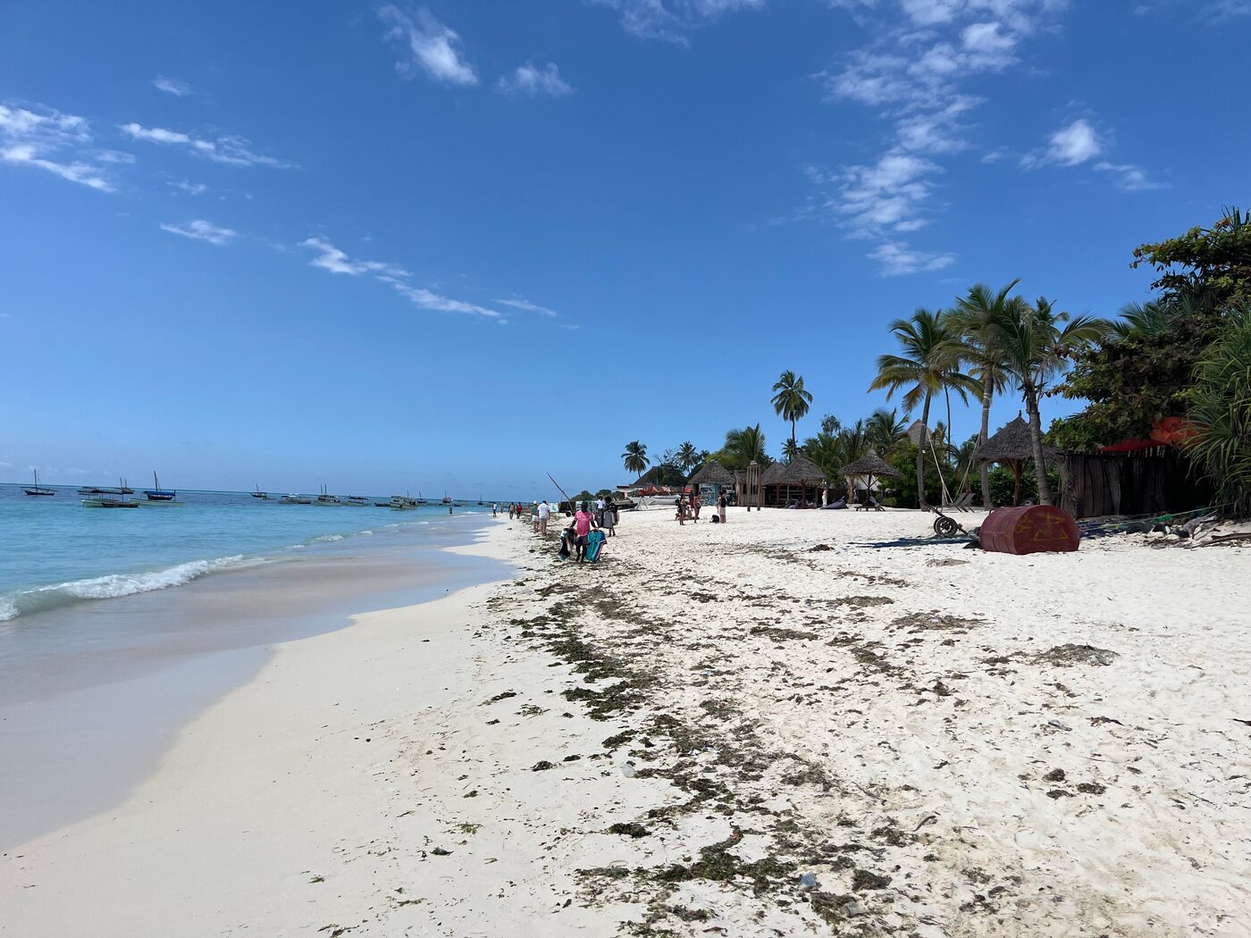 8-Day Safari & Zanzibar Island (Including Flight)