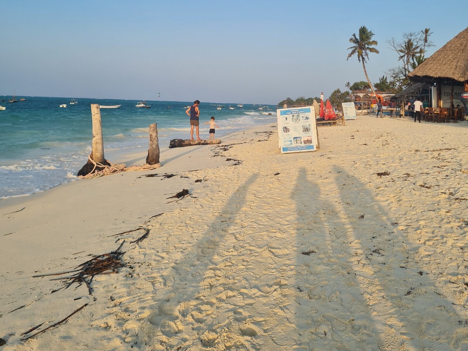 Seafront food stalls glowing in golden light near Forodhani