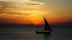Iconic dhow silhouette at sunset off Zanzibar