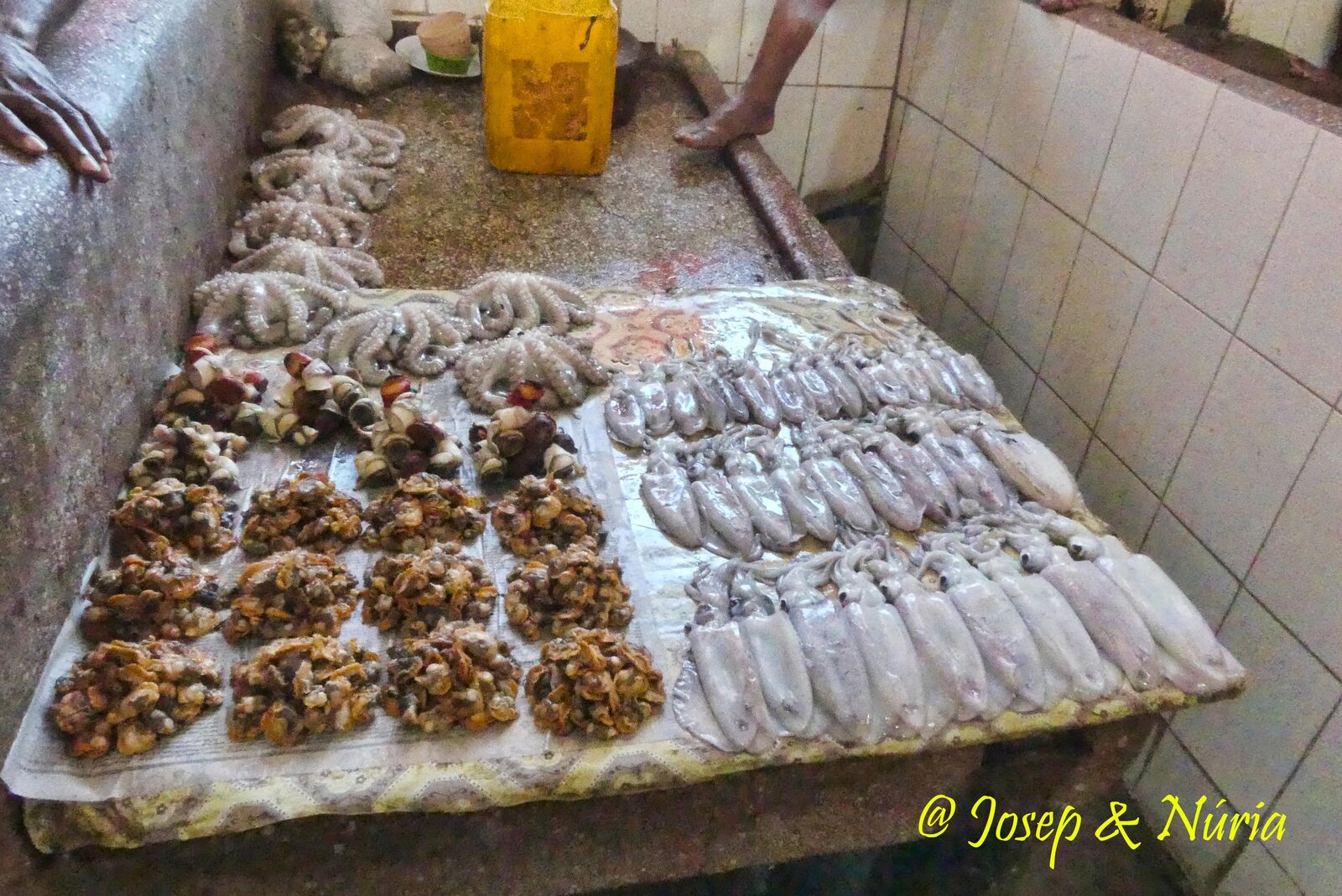 Octopus and shellfish at a Stone Town fish market