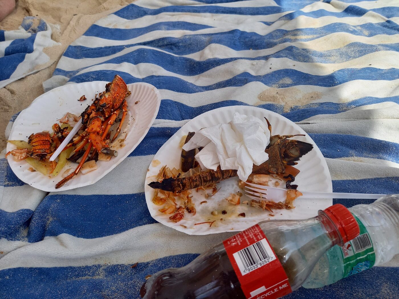 Fresh grilled lobster by the beach