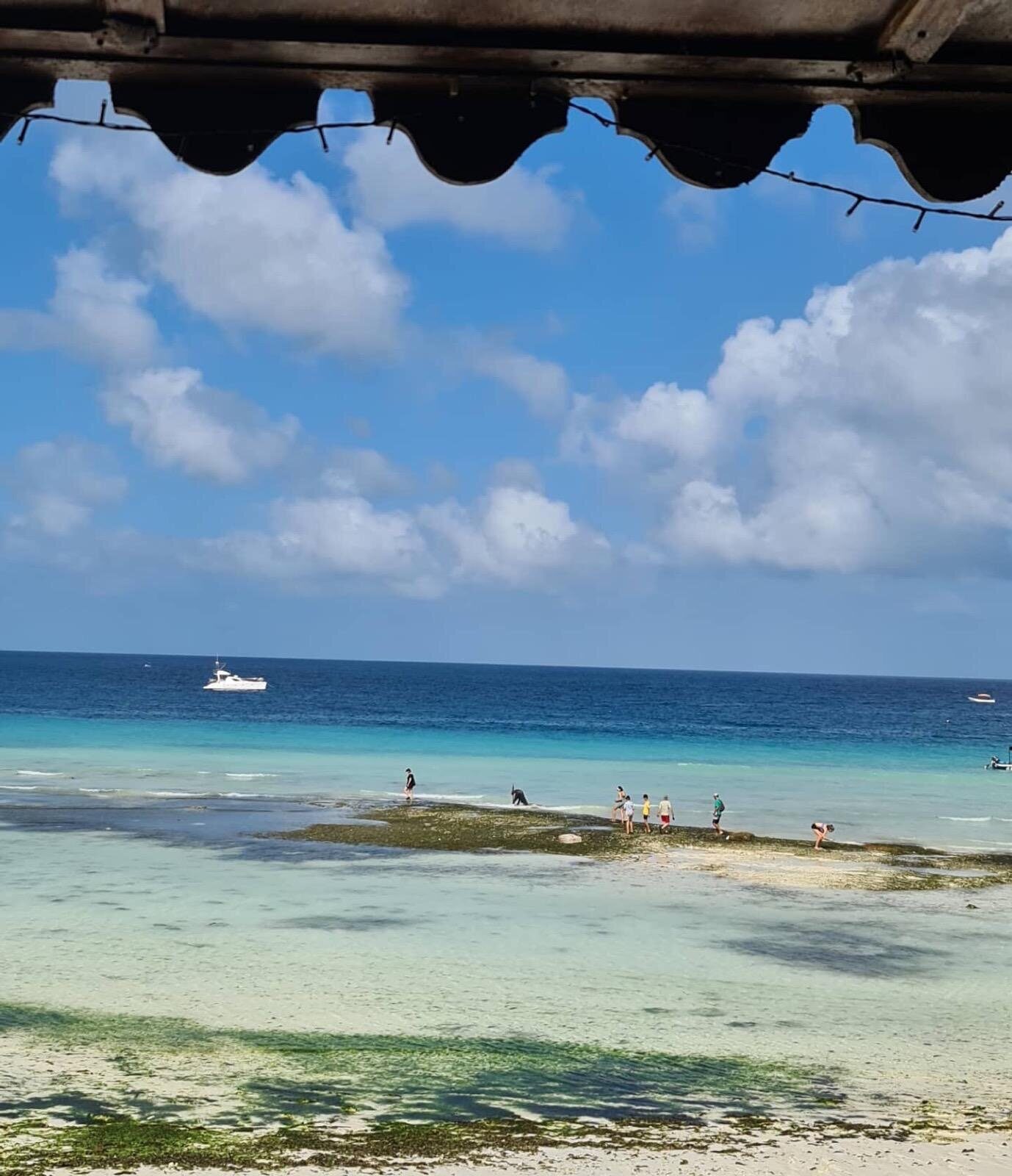Reef walkers at low tide near Zanzibar seaweed farms