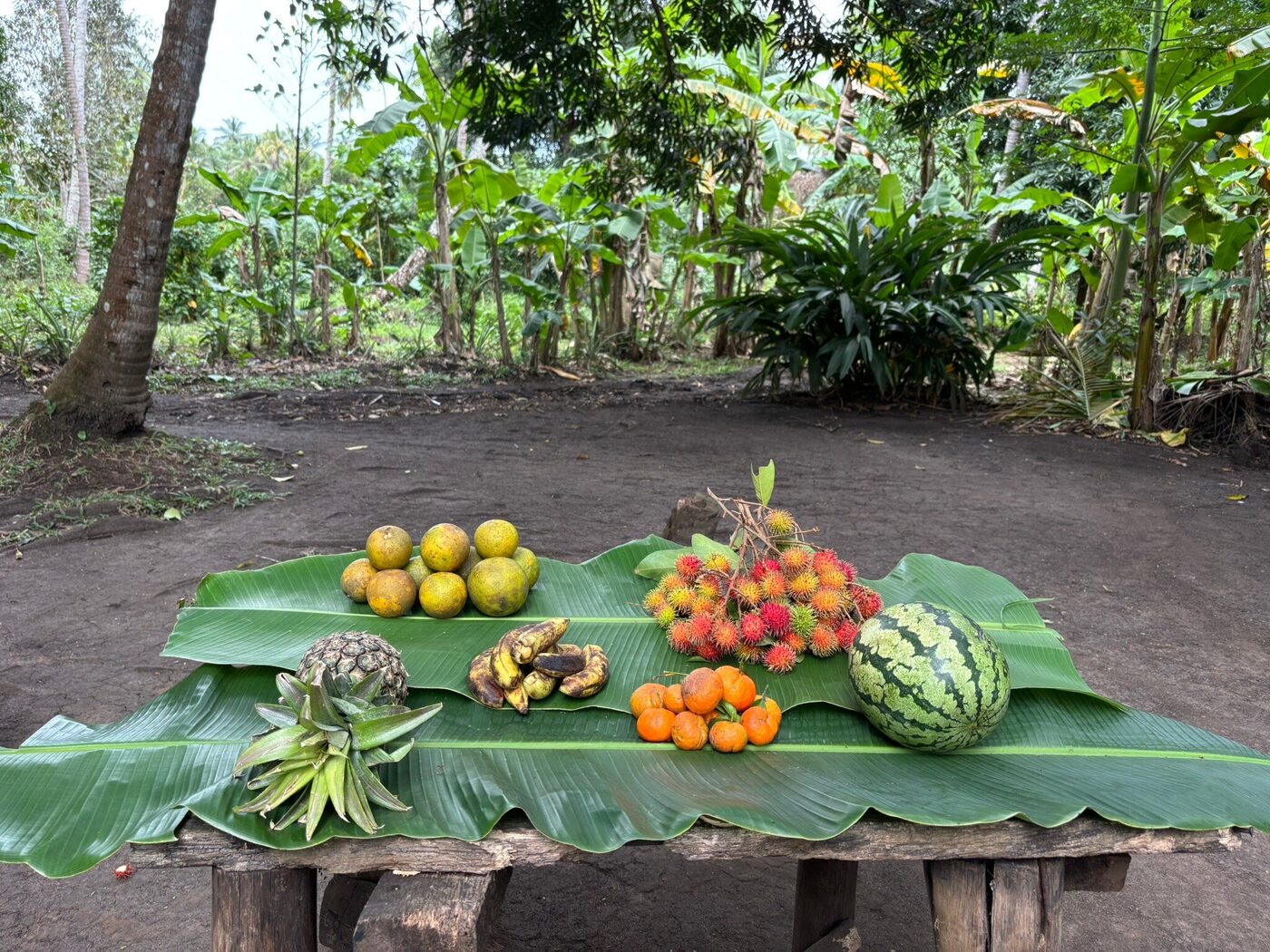 Tropical fruits displayed on a banana leaf