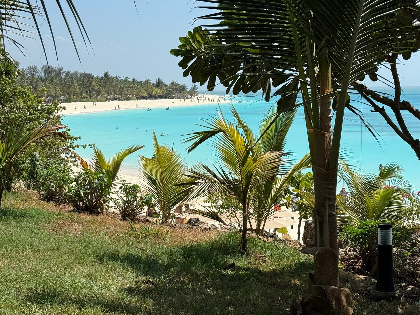 Turquoise Zanzibar bay framed by leaning palm trees