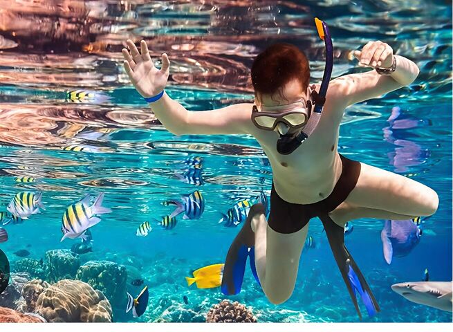 A snorkeller among tropical reef fish