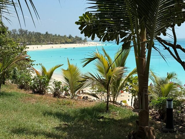 A turquoise bay framed by palms