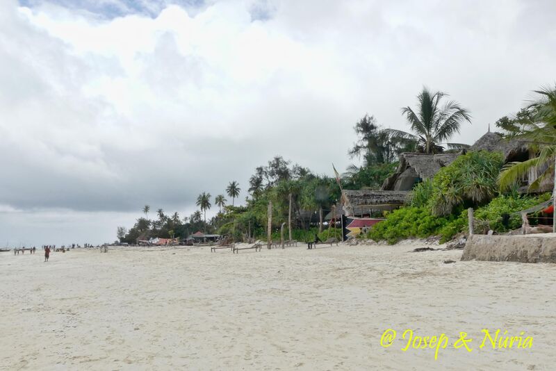 A wide Zanzibar beach lined with thatched huts and palms